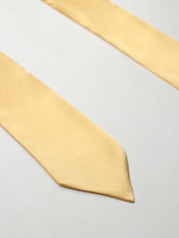 Золотой галстук выпускника