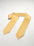 Золотой галстук выпускника