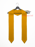 Бронзовый галстук выпускника